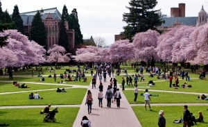 The University of Washington