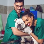 Two smiling vets with a dog during an exam